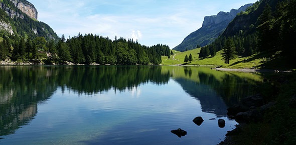 特色小鎮(zhèn)：關(guān)鍵在特色，魅力在特色，生命力在特色——特色小鎮(zhèn)國(guó)